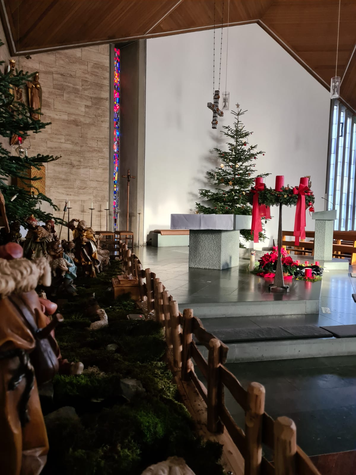 Weihnachtsbaum in der Kirche aufgestellt JunggesellenSchützen